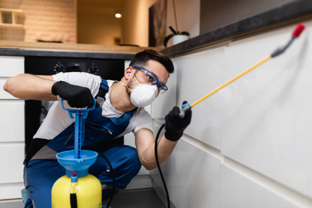 Best Termite Control Services  in Mission, OR