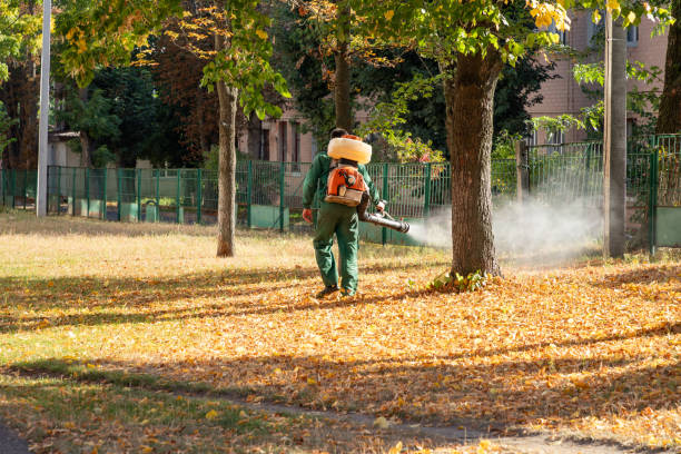 Best Flea Control Services  in Mission, OR