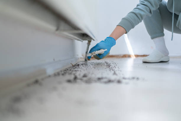 Best Affordable Pest Control Services  in Mission, OR