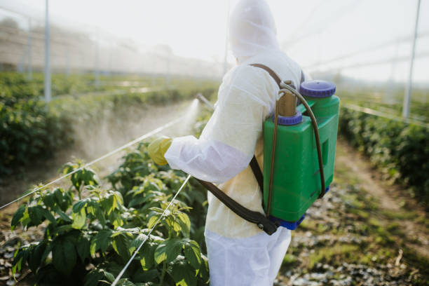 Best Rat Extermination Near Me  in Mission, OR